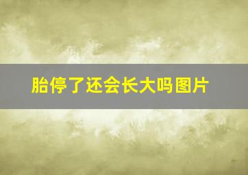 胎停了还会长大吗图片