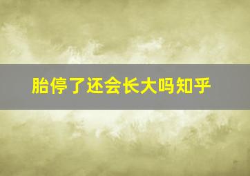 胎停了还会长大吗知乎