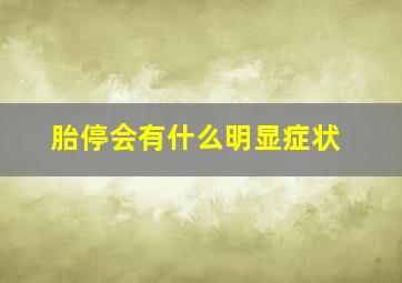 胎停会有什么明显症状