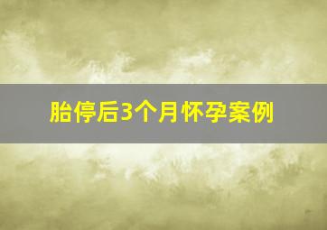 胎停后3个月怀孕案例