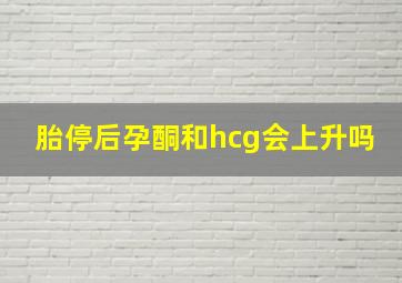 胎停后孕酮和hcg会上升吗