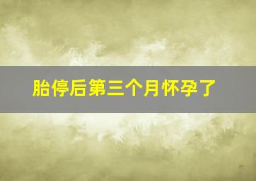 胎停后第三个月怀孕了