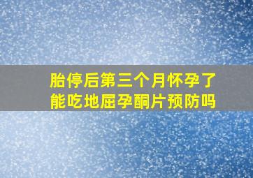 胎停后第三个月怀孕了能吃地屈孕酮片预防吗