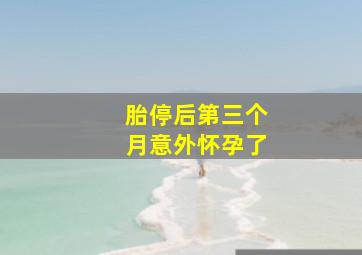 胎停后第三个月意外怀孕了