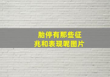 胎停有那些征兆和表现呢图片