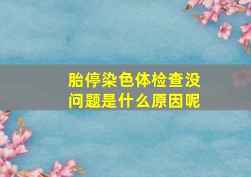 胎停染色体检查没问题是什么原因呢