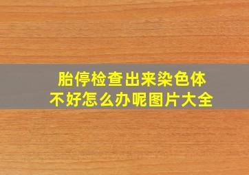 胎停检查出来染色体不好怎么办呢图片大全