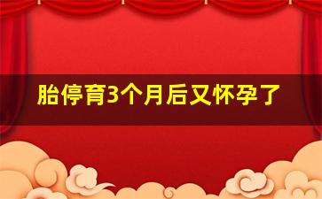 胎停育3个月后又怀孕了