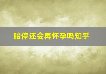 胎停还会再怀孕吗知乎