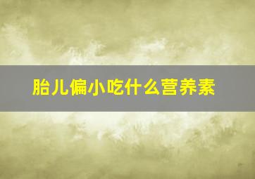 胎儿偏小吃什么营养素