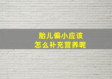 胎儿偏小应该怎么补充营养呢