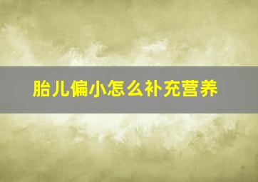 胎儿偏小怎么补充营养