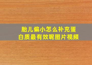 胎儿偏小怎么补充蛋白质最有效呢图片视频