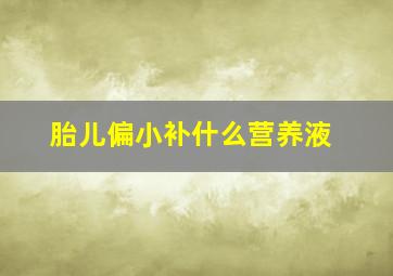 胎儿偏小补什么营养液