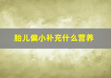 胎儿偏小补充什么营养