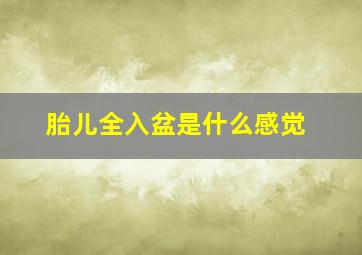 胎儿全入盆是什么感觉