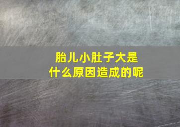 胎儿小肚子大是什么原因造成的呢