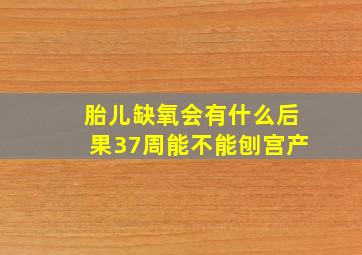 胎儿缺氧会有什么后果37周能不能刨宫产