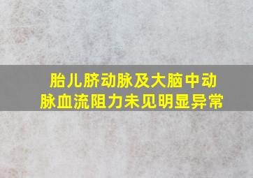 胎儿脐动脉及大脑中动脉血流阻力未见明显异常