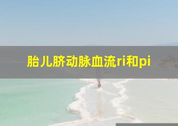 胎儿脐动脉血流ri和pi