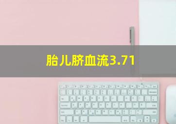 胎儿脐血流3.71