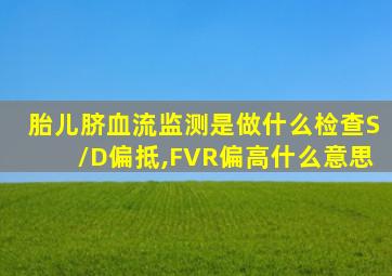 胎儿脐血流监测是做什么检查S/D偏抵,FVR偏高什么意思