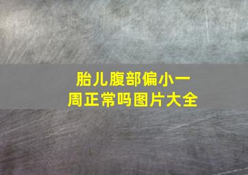 胎儿腹部偏小一周正常吗图片大全