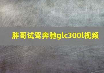 胖哥试驾奔驰glc300l视频