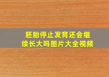 胚胎停止发育还会继续长大吗图片大全视频