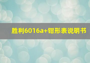 胜利6016a+钳形表说明书