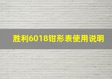 胜利6018钳形表使用说明