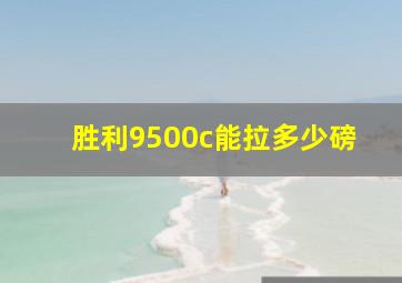 胜利9500c能拉多少磅