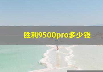 胜利9500pro多少钱