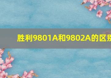 胜利9801A和9802A的区别