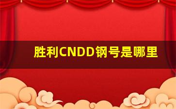 胜利CNDD钢号是哪里