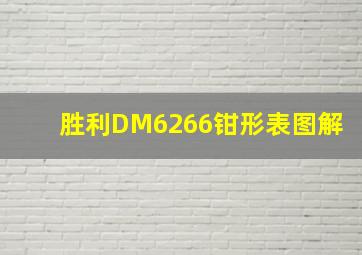 胜利DM6266钳形表图解