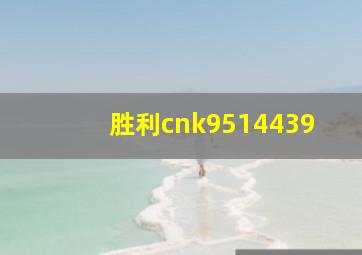 胜利cnk9514439