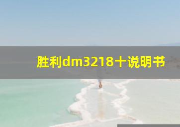 胜利dm3218十说明书