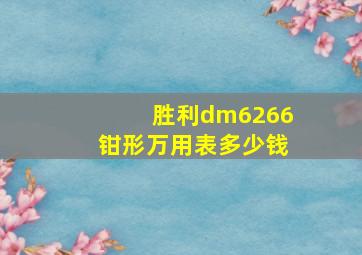 胜利dm6266钳形万用表多少钱