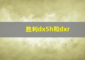 胜利dx5h和dxr