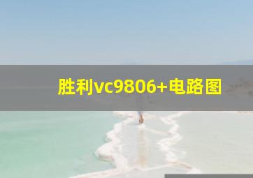 胜利vc9806+电路图