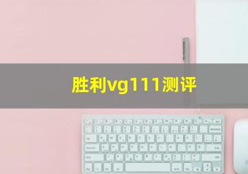 胜利vg111测评