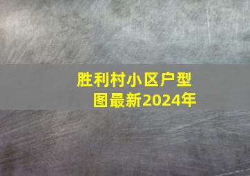 胜利村小区户型图最新2024年