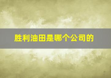 胜利油田是哪个公司的