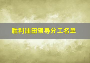 胜利油田领导分工名单