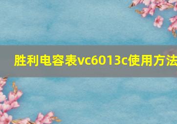 胜利电容表vc6013c使用方法