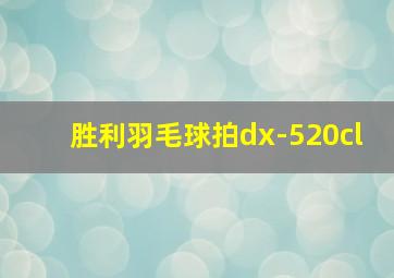 胜利羽毛球拍dx-520cl