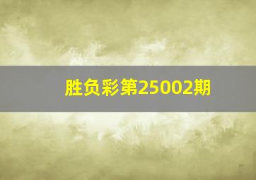 胜负彩第25002期