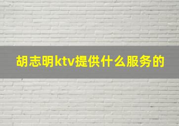 胡志明ktv提供什么服务的