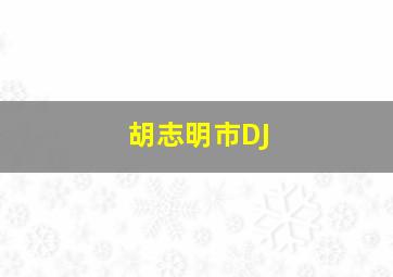 胡志明市DJ